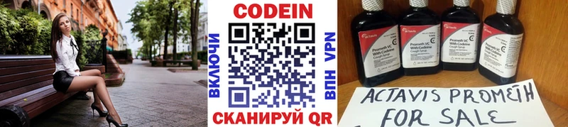 Купить закладки  Светлогорск  Кодеиновый сироп Lean Purple Drank 