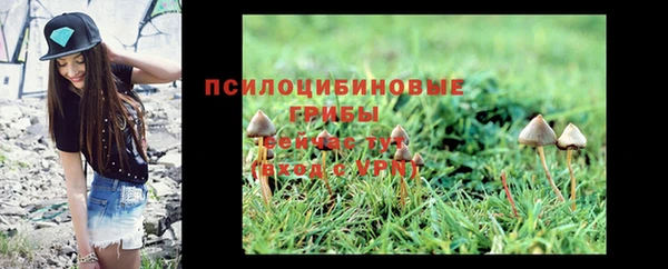 кокс Аркадак