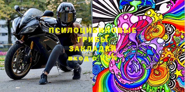 кокс Аркадак
