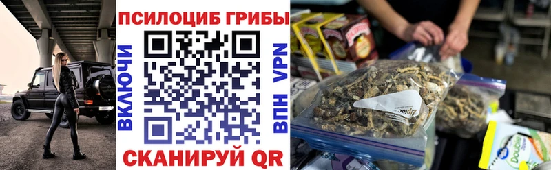 Купить закладки  Светлогорск  Галлюциногенные грибы прущие грибы 